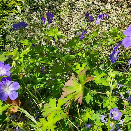 2 Im Haus Windjammer Sankt Peter-Ording